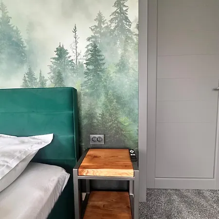 N V New View Holiday home Yaremche