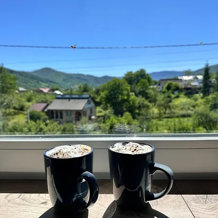 N V New View * Yaremche