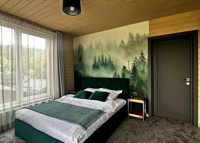 N V New View Holiday home Yaremche
